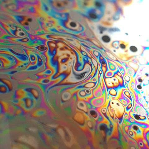 Trip