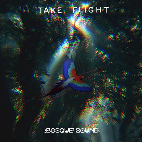 Bosque Sound - Take Flight